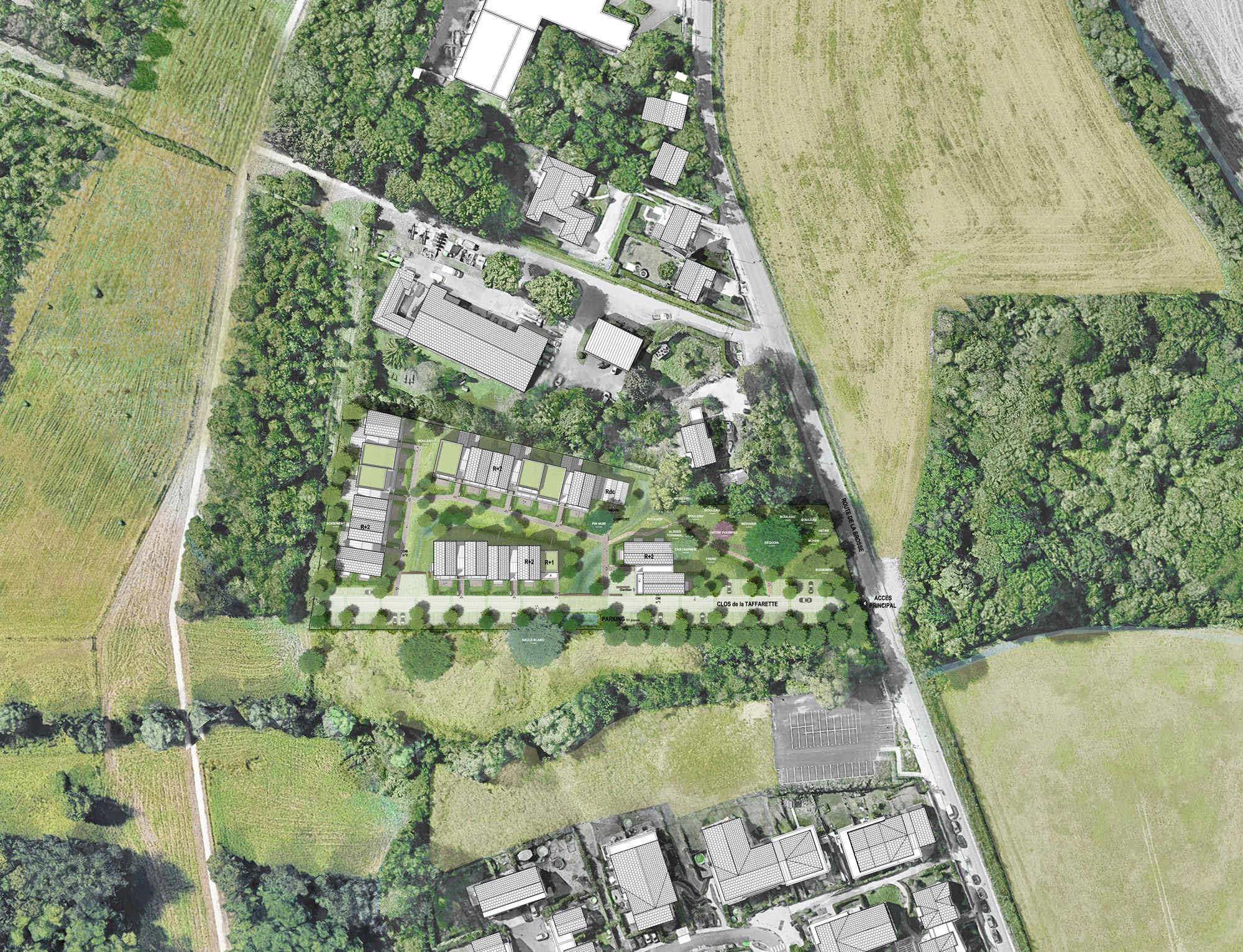 Ferrieres bois biodiversite developpement durable 3